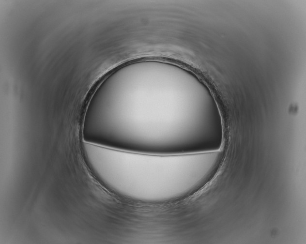 X0000095931505200801110906