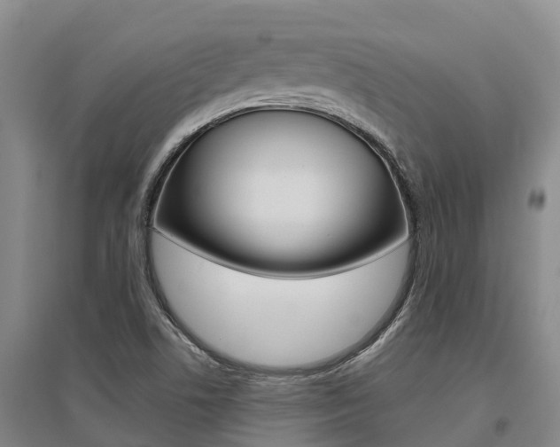 X0000095931506200801110906