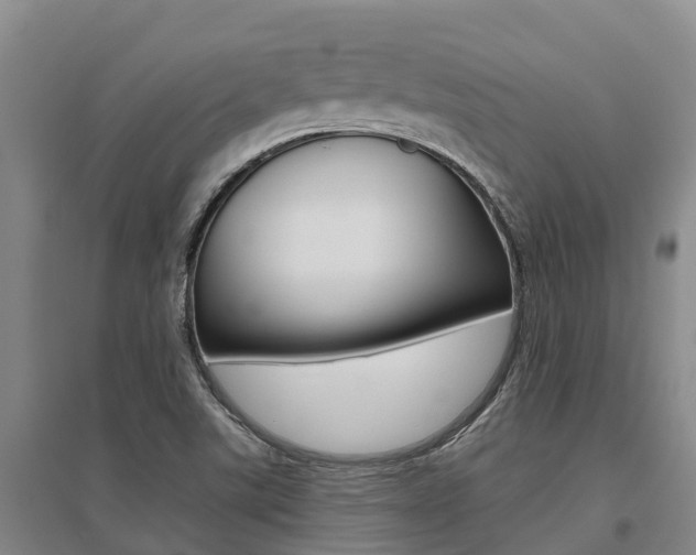 X0000095931507200801110906