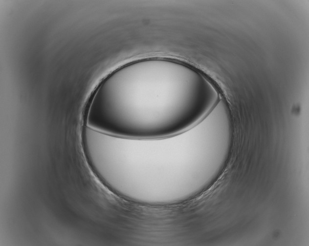 X0000095931508200801110906