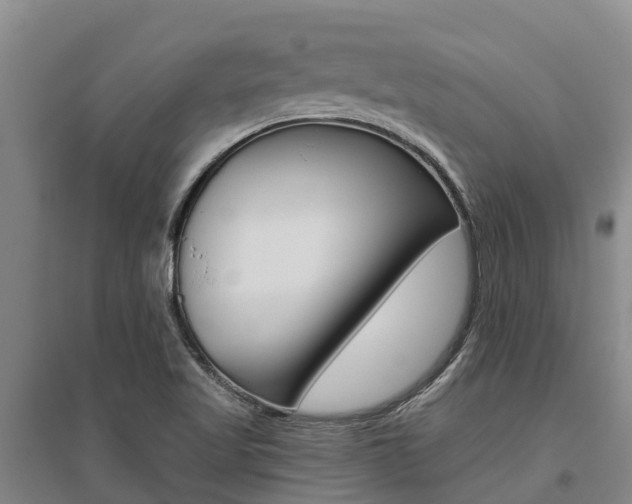 X0000095931509200801110906