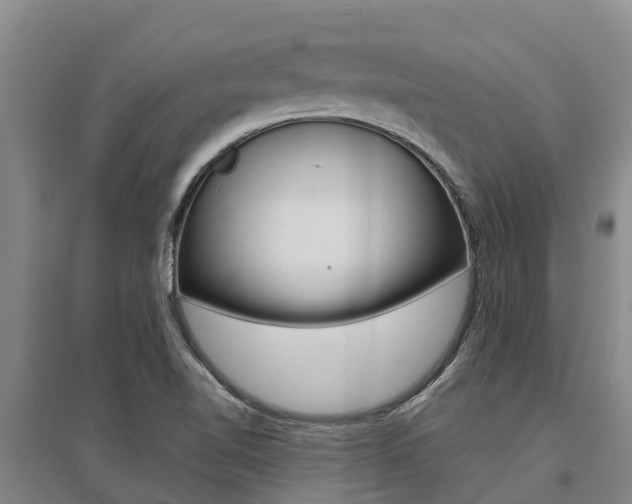 X0000095931510200801110906