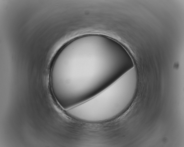 X0000095931511200801110906