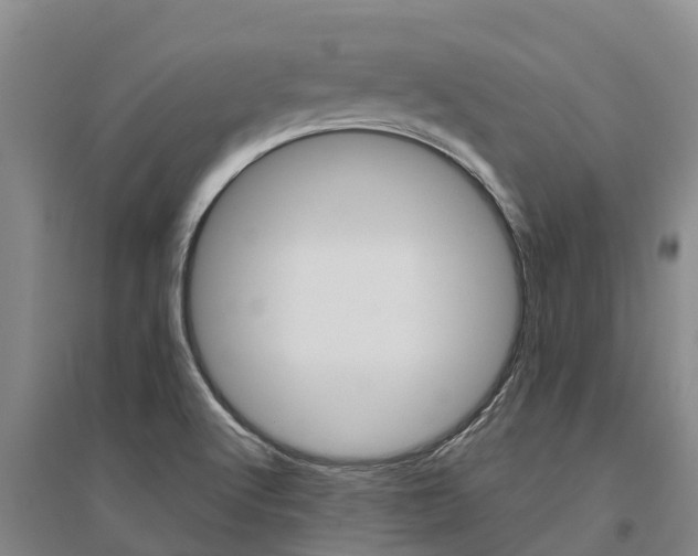 X0000095931512200801110906