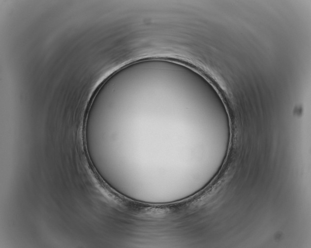 X0000095931513200801110906