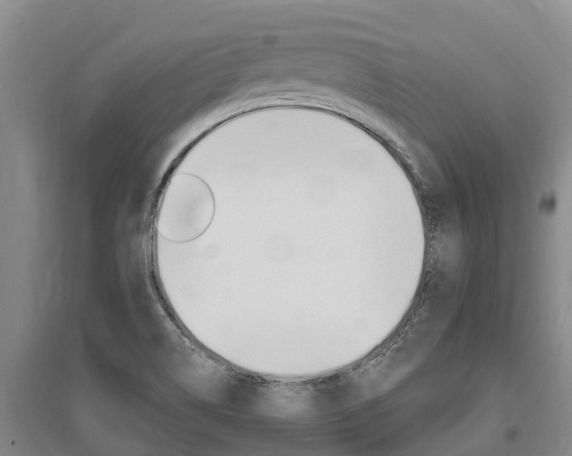 X0000095931514200801110906