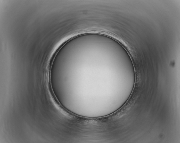 X0000095931515200801110906