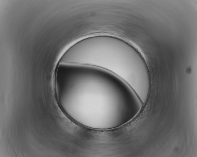 X0000095931516200801110906