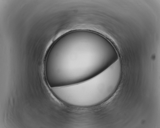 X0000095931517200801110906