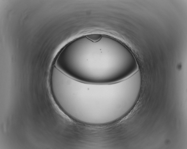 X0000095931518200801110906