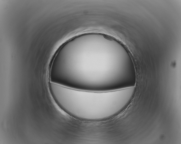 X0000095931519200801110906