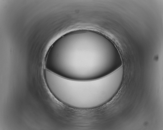 X0000095931520200801110906