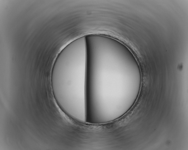 X0000095931521200801110906