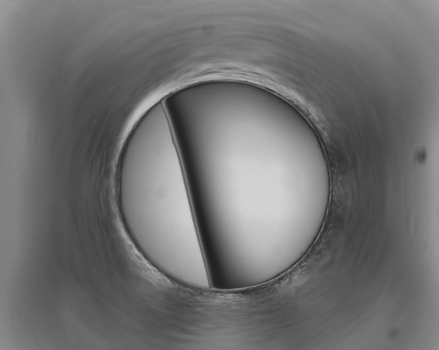 X0000095931522200801110906