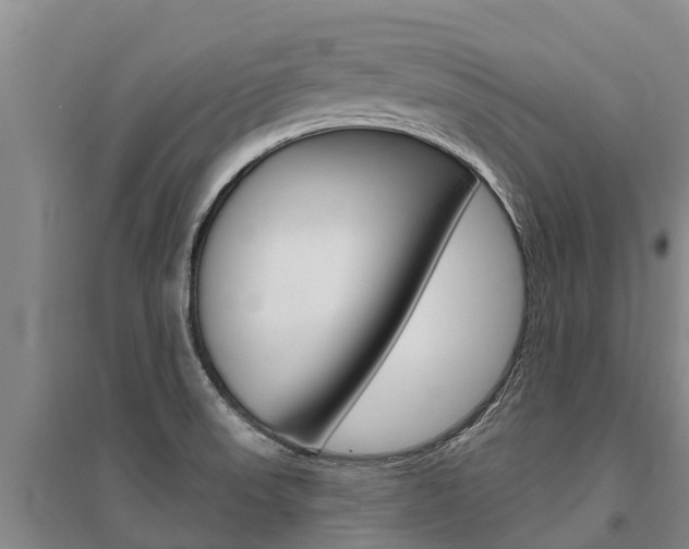 X0000095931523200801110906