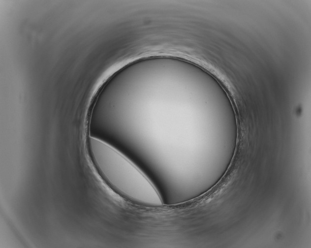 X0000095931525200801110906