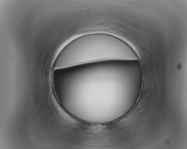X0000095931526200801110906
