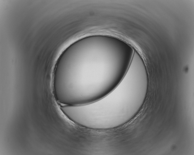 X0000095931528200801110906