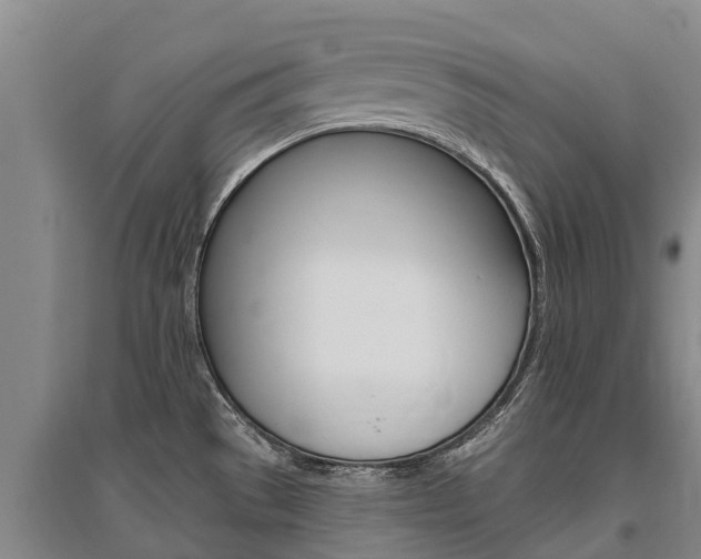 X0000095931529200801110906