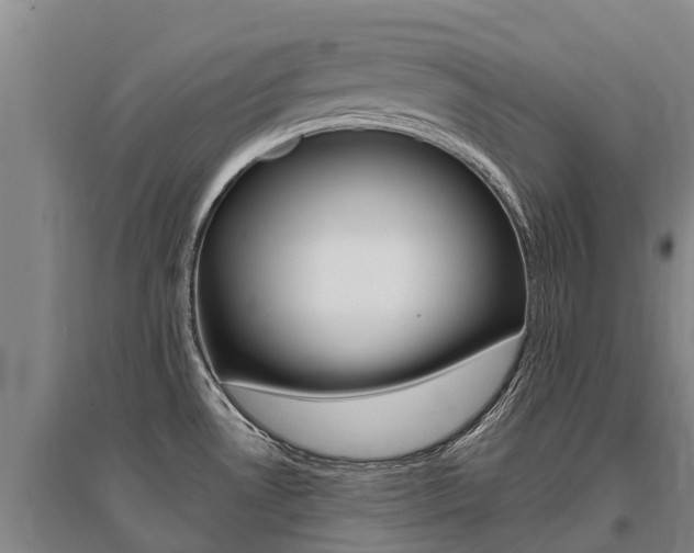 X0000095931530200801110906