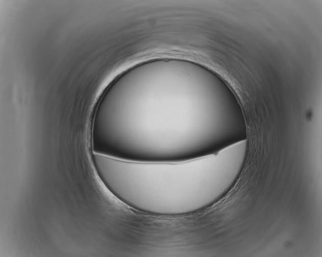 X0000095931531200801110906