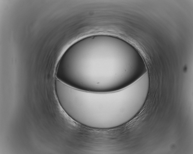 X0000095931532200801110906