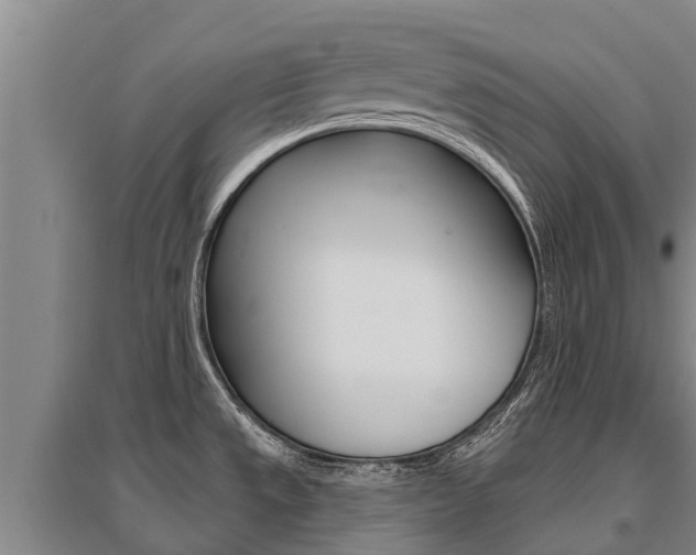 X0000095931533200801110906