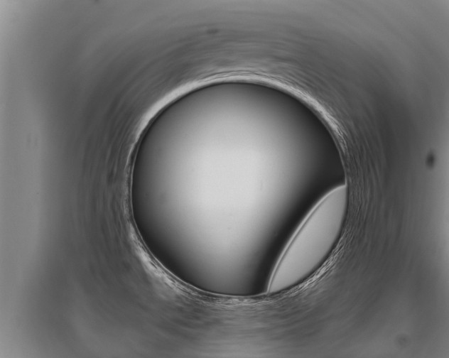 X0000095931534200801110906
