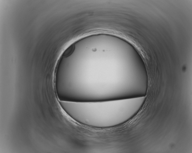 X0000095931535200801110906