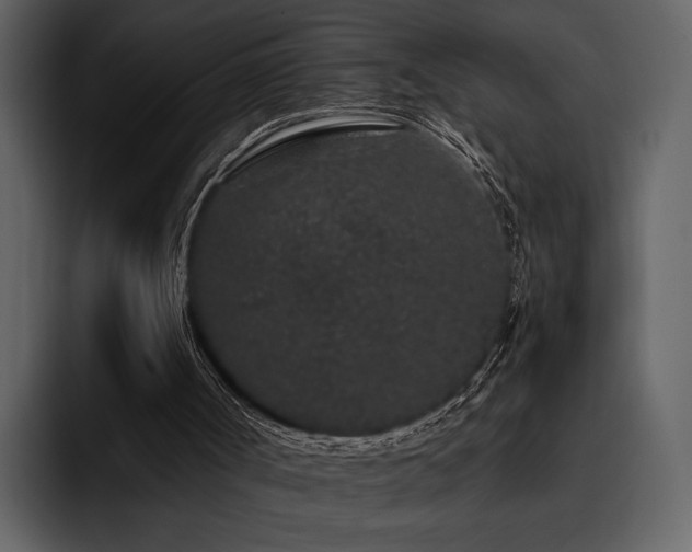 X0000095930002200801111304