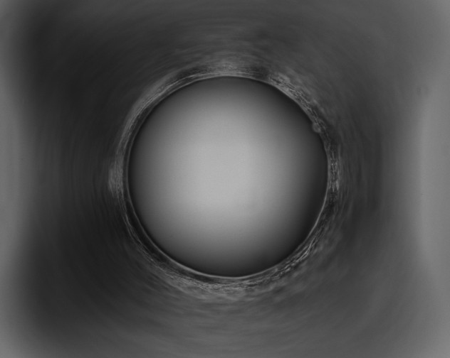 X0000095930004200801111304
