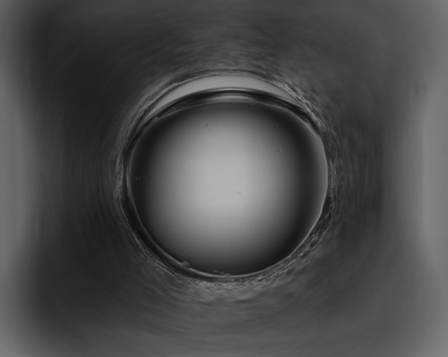 X0000095930005200801111304