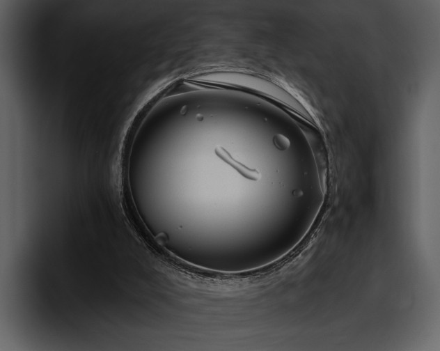 X0000095930008200801111304