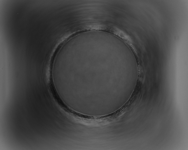 X0000095930012200801111304