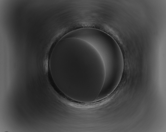 X0000095930019200801111304