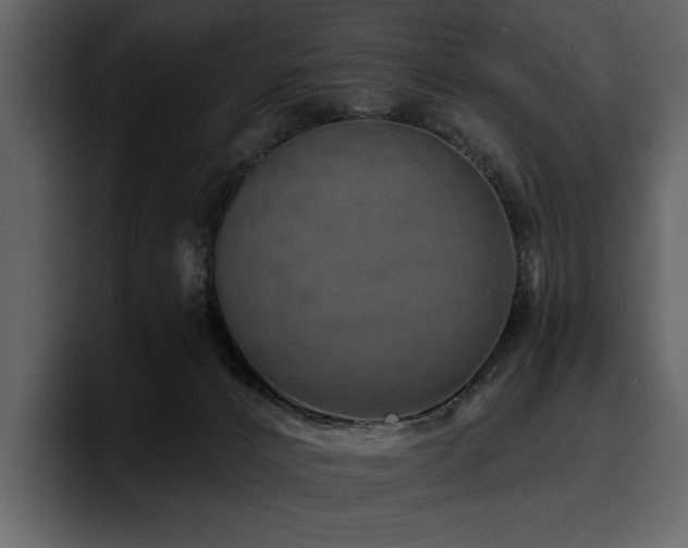X0000095930032200801111304