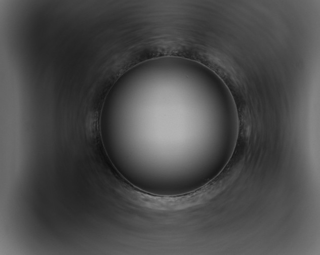 X0000095930034200801111304