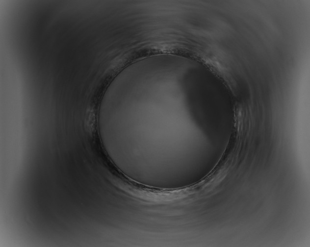 X0000095930036200801111304