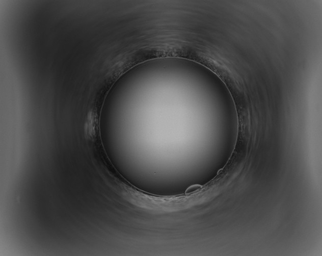 X0000095930038200801111304