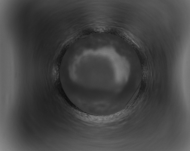 X0000095930043200801111304