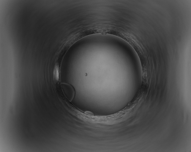 X0000095930046200801111304