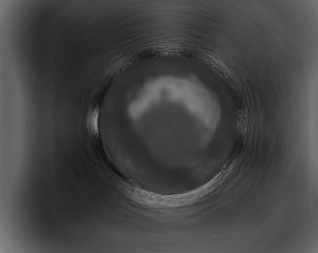 X0000095930047200801111304