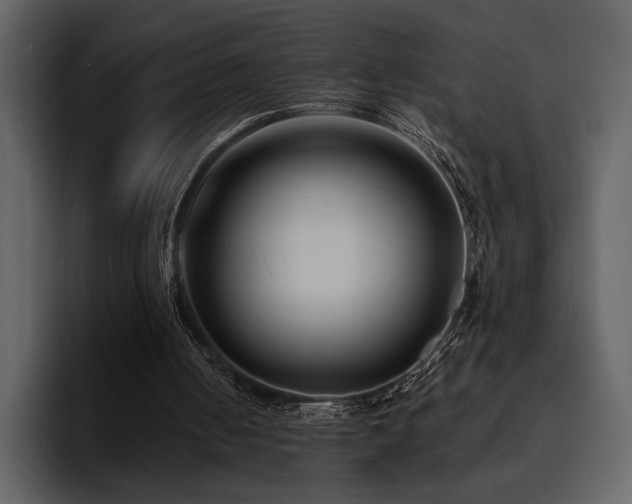 X0000095930050200801111303