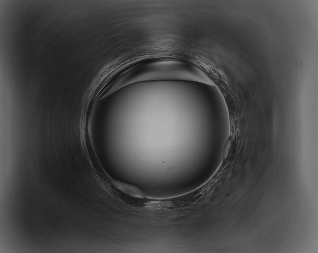 X0000095930051200801111303