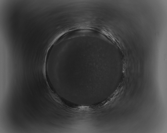 X0000095930052200801111303