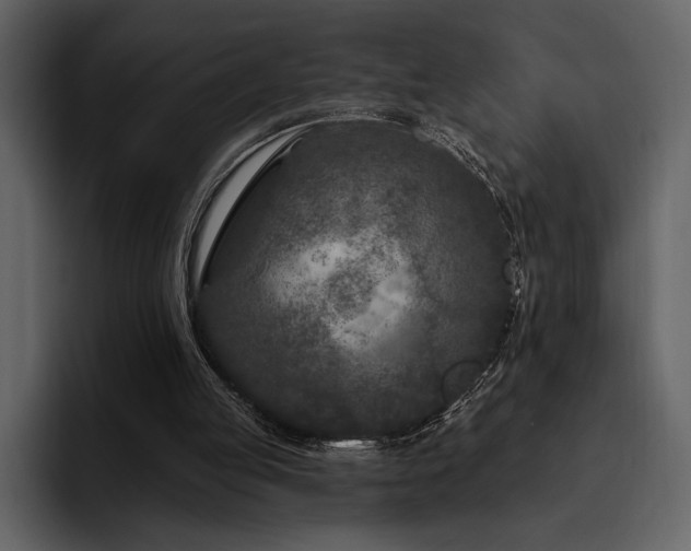 X0000095930053200801111303