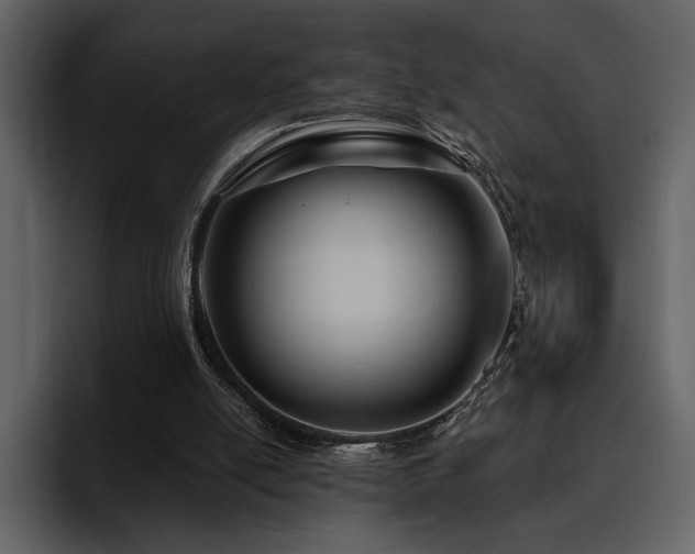 X0000095930054200801111303