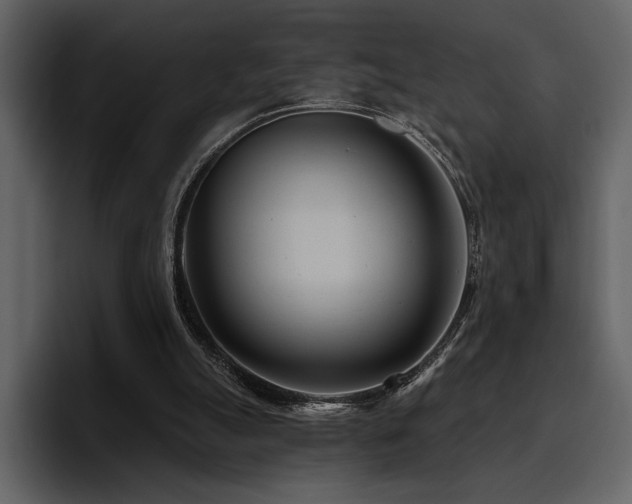 X0000095930055200801111303