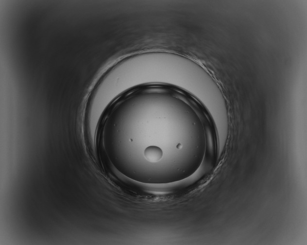 X0000095930056200801111303
