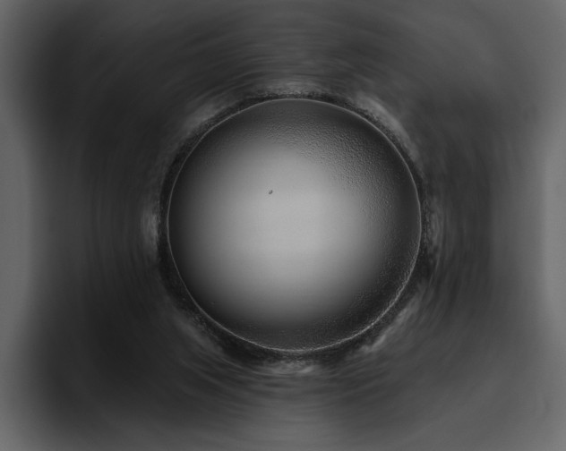 X0000095930063200801111303